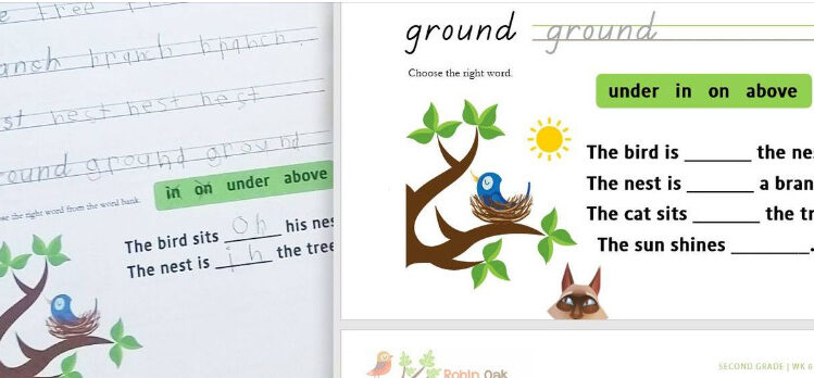 Image showing two worksheets of the Garden Primary font, with an example of a bird in a nest and several fill in the blank exercises.